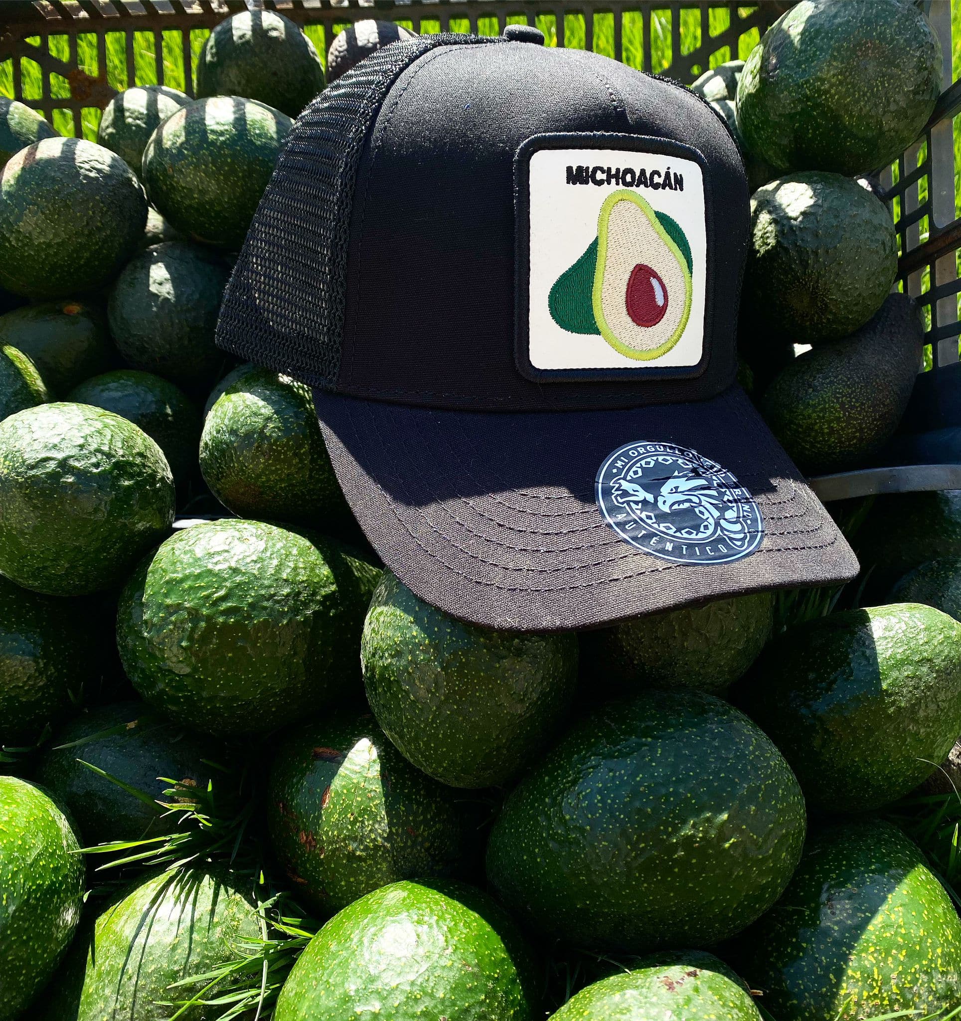 Los Aguacateros De Michoacan Hat Black Mesh Snapback at