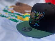 LA SEÑAL SNAPBACK