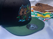 LA SEÑAL SNAPBACK