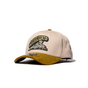 MOMIAS DE GUANAJUATO