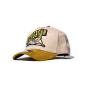 AGUACATEROS DE MICHOACÁN