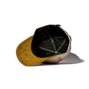 MOMIAS DE GUANAJUATO