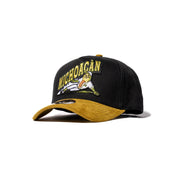 AGUACATEROS DE MICHOACÁN