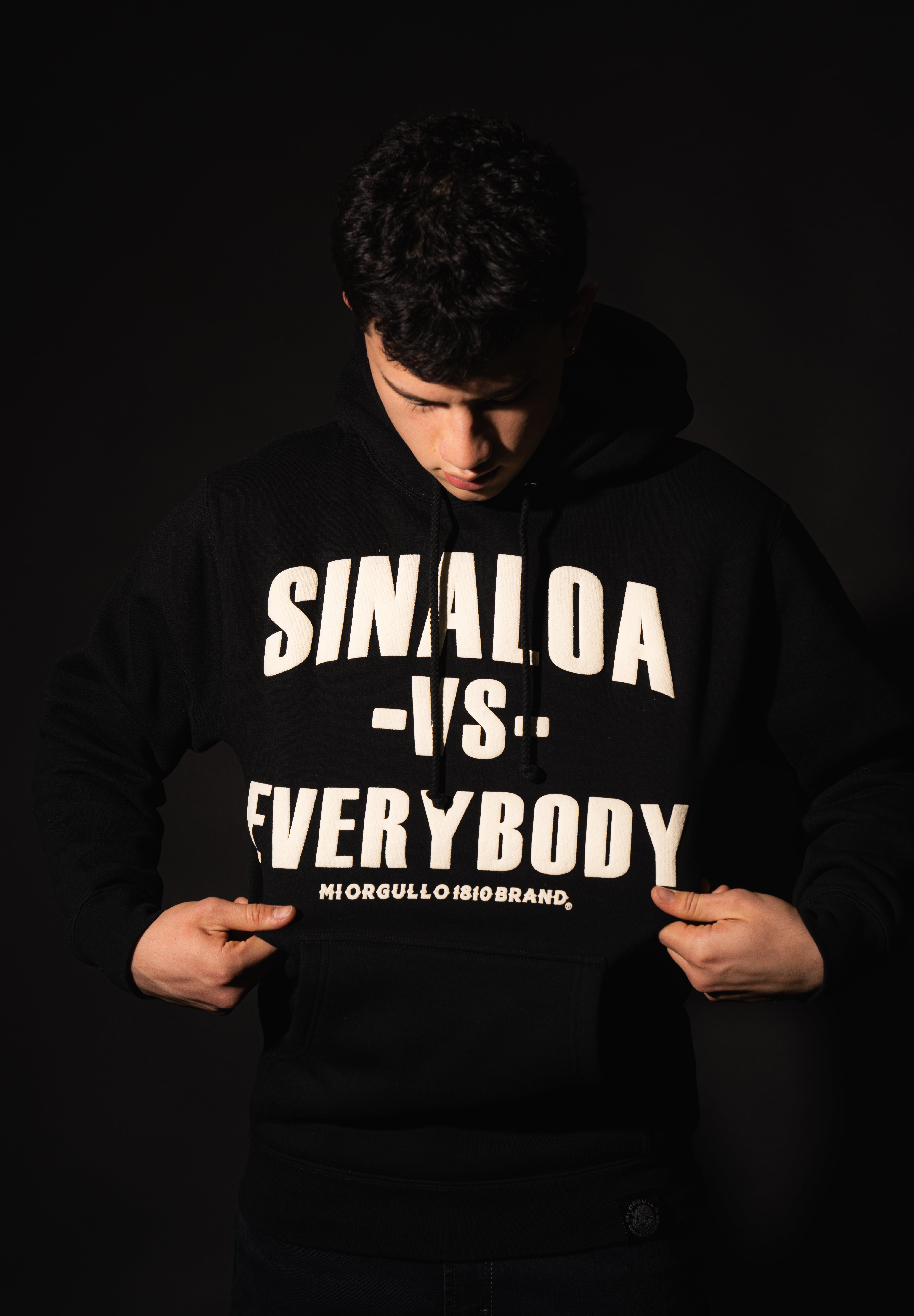 SINALOA VS EVERYBODY