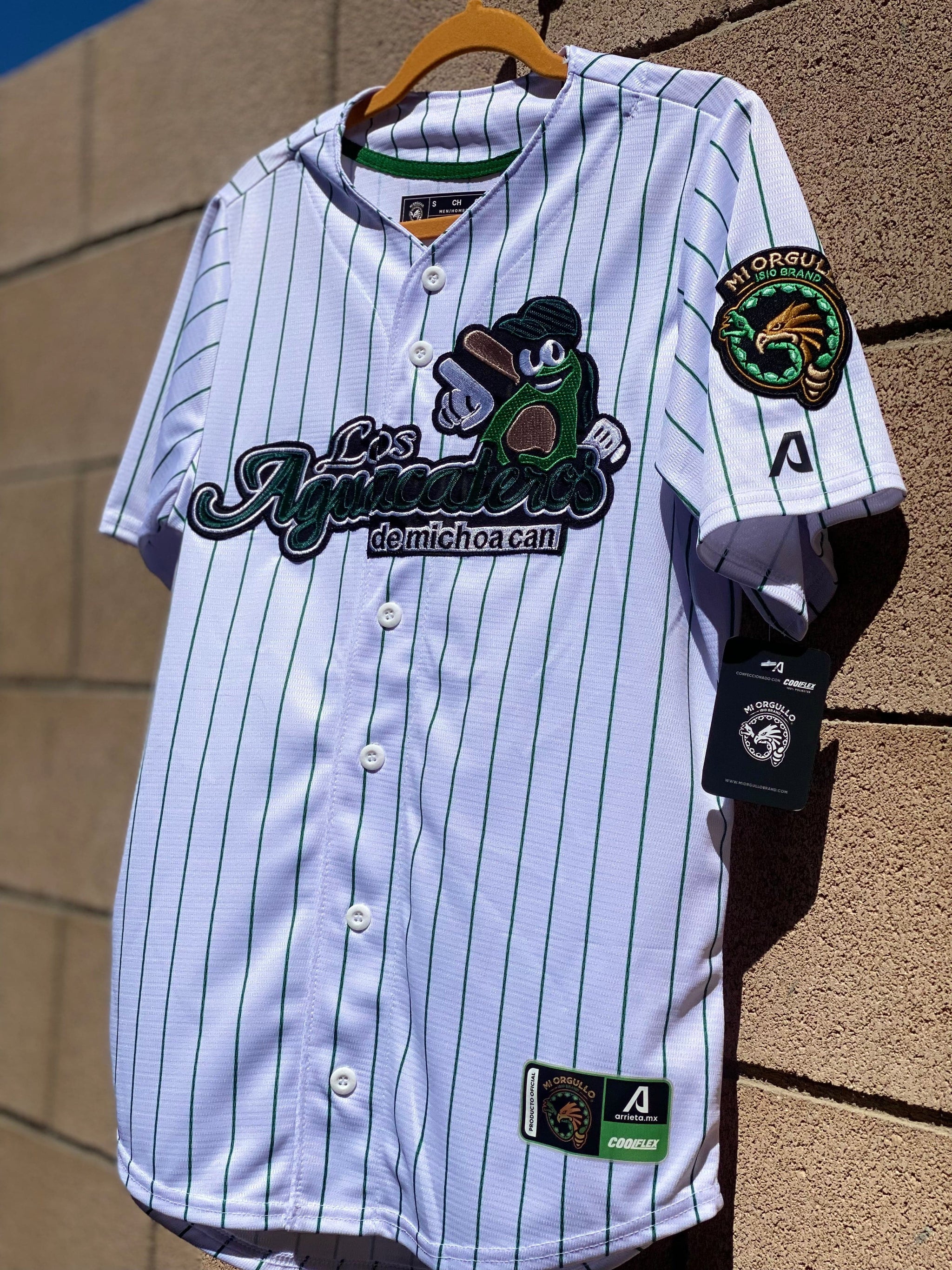Mexico Aguacateros De Michoacan Jersey - 100% Polyester Black/Grey Men's Soccer Jersey