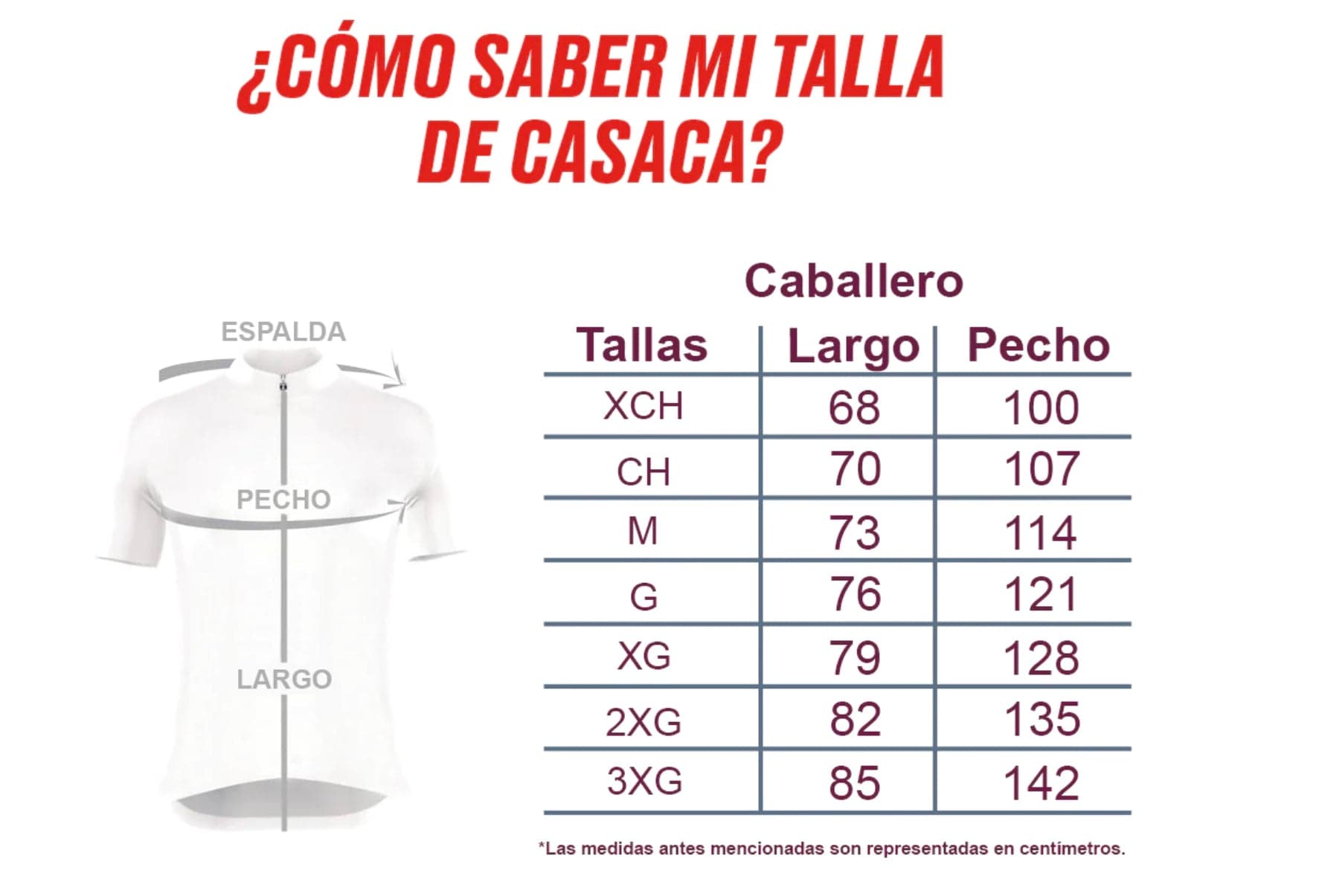 AUTHENTIC 2024 SINALOA TOMATEROS GRAY JERSEY