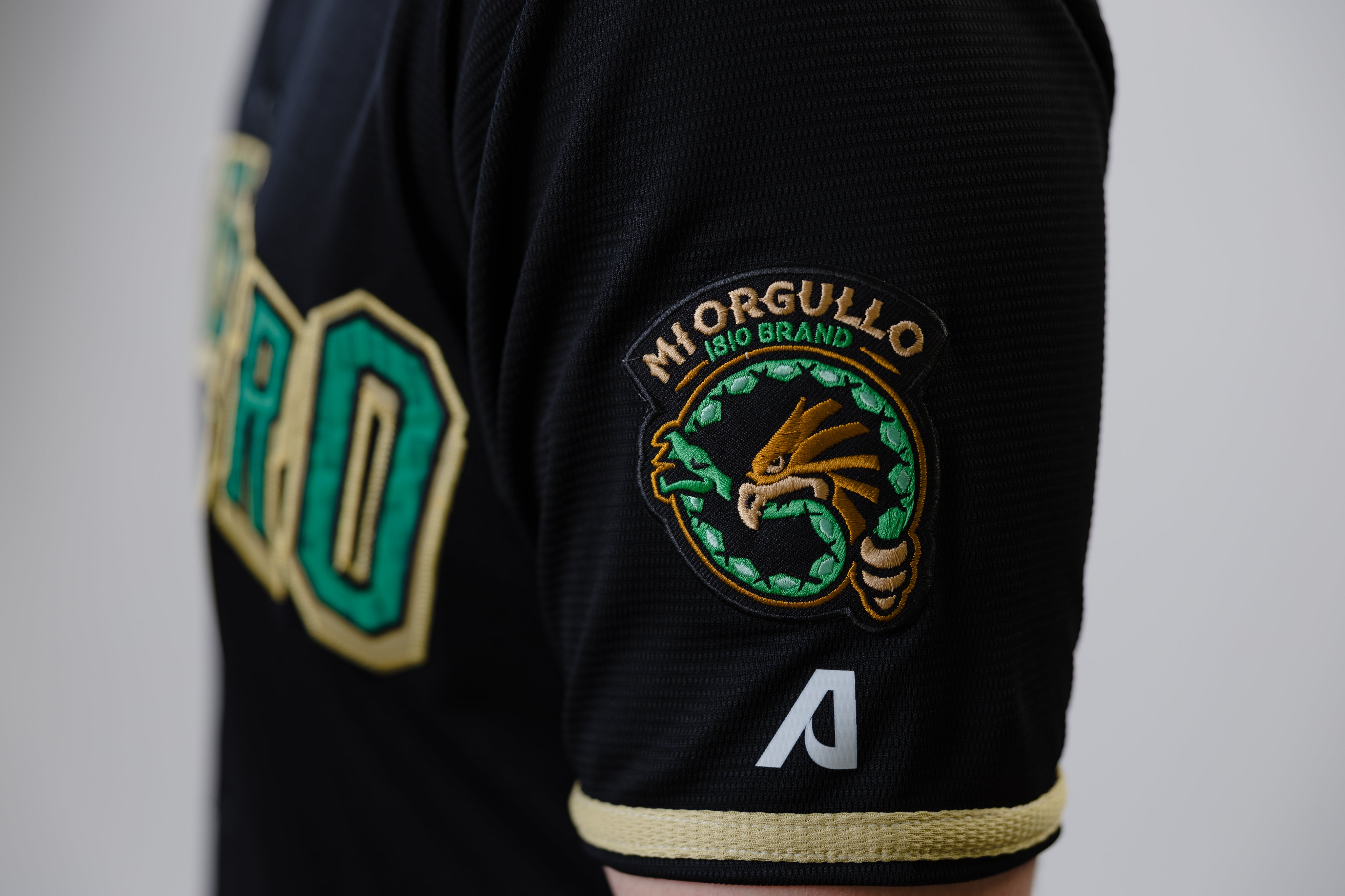 ELEMENT GUERRERO JERSEY