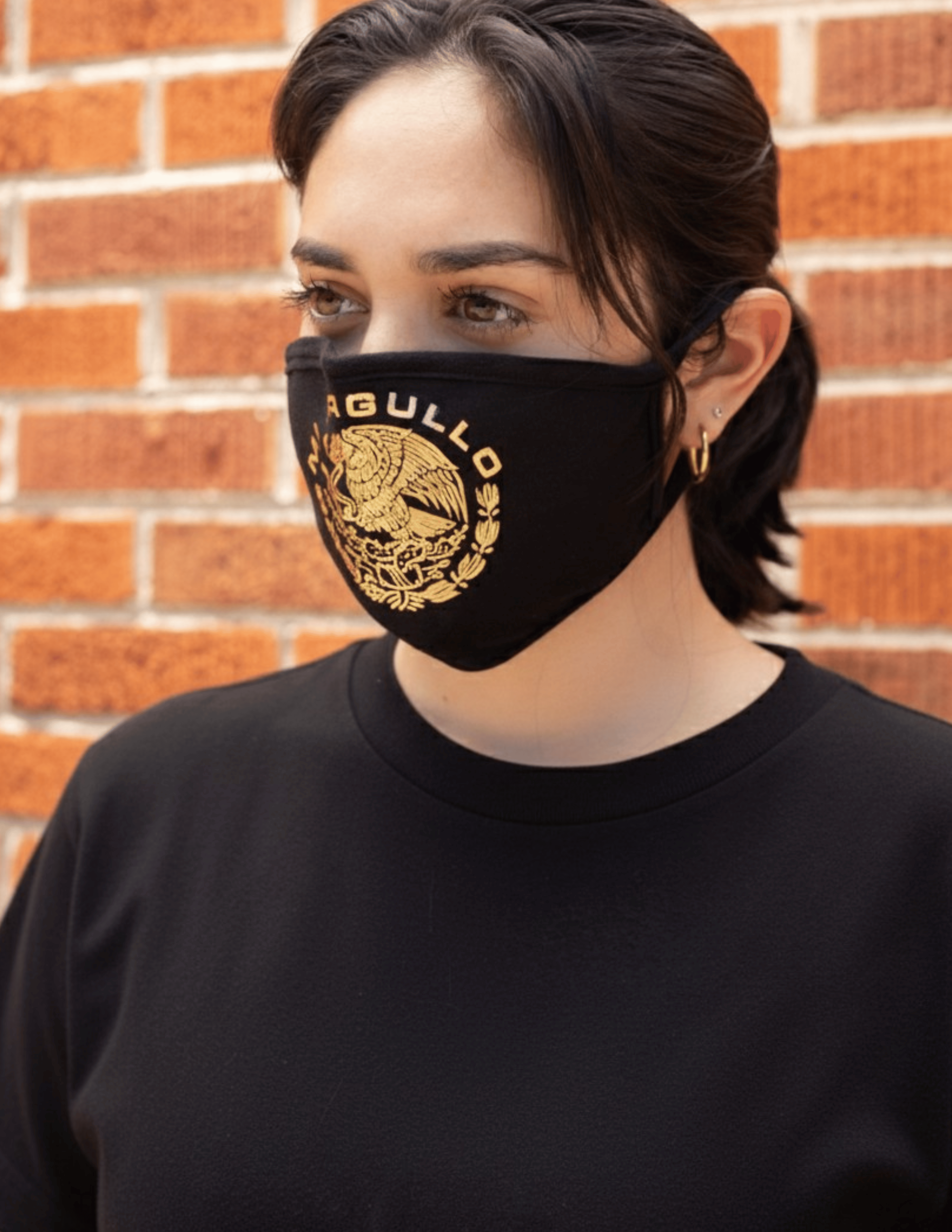 Mi Orgullo Gold Eagle Mask – 3 Pack