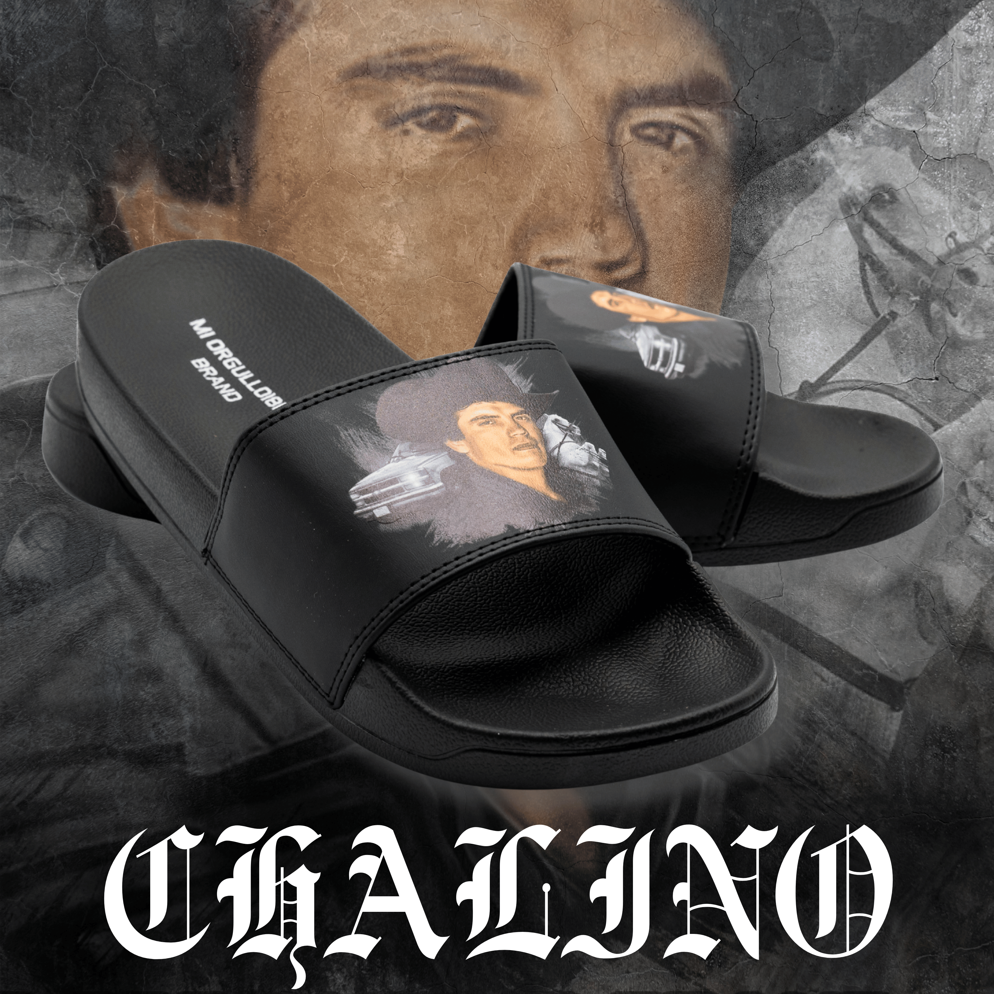 DIAPOSITIVAS CHALINO