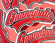 GUANAJUATO STICKER