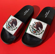 TRICOLOR SLIDES