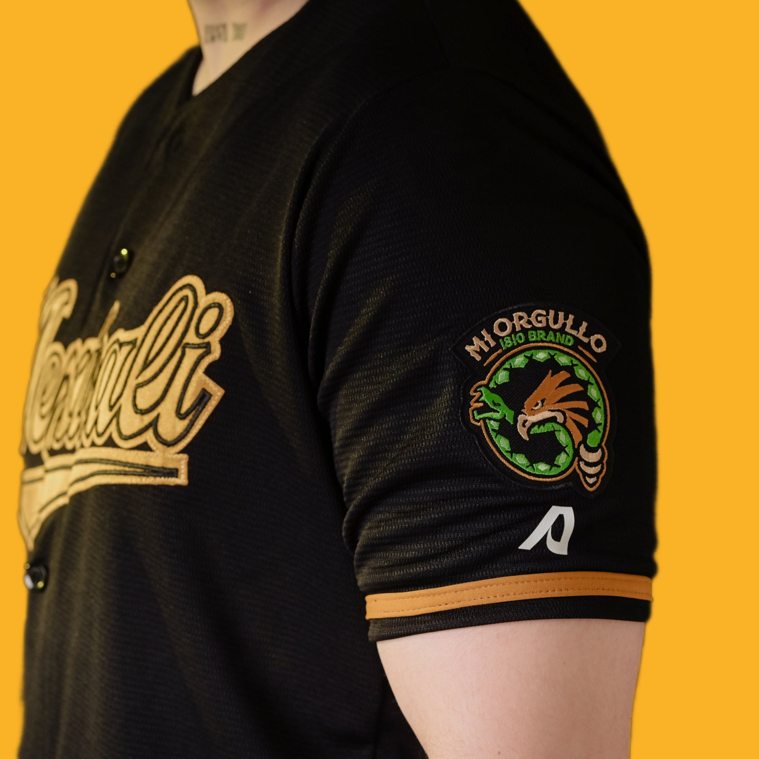 MEXICALI BLK/OLD GOLD JERSEY